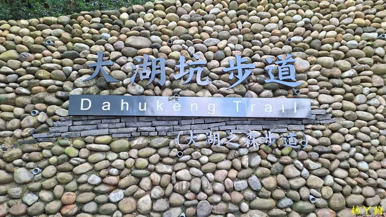 【微笑山線】全新登山步道，大湖之森自然步道，輕鬆健行享受森林浴