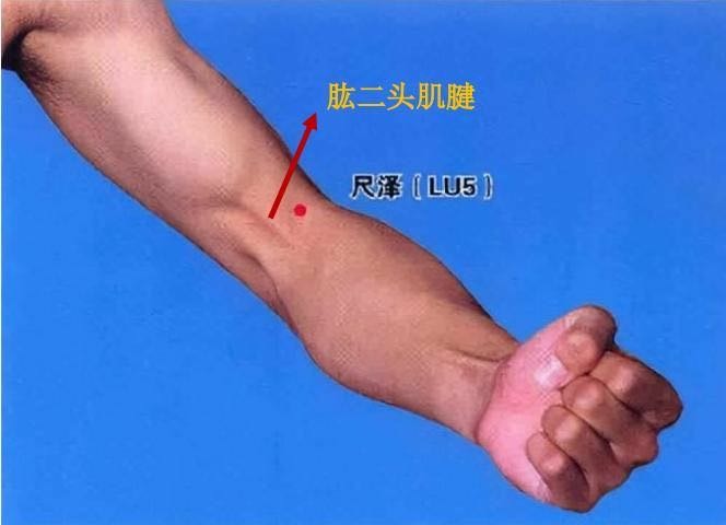 心臟病肺臟病保養和改善