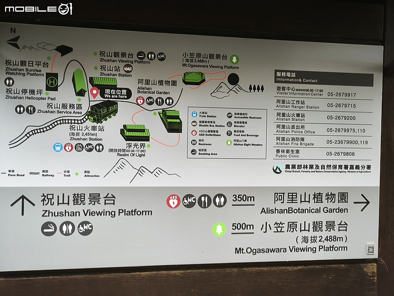 車泊阿里山看日出｜小火車、日出、巨木群一次打包！