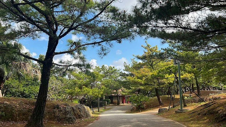 114年2月26日至114年3月2日沖繩行(114年3月1日第4天及114年3月2日第5天)