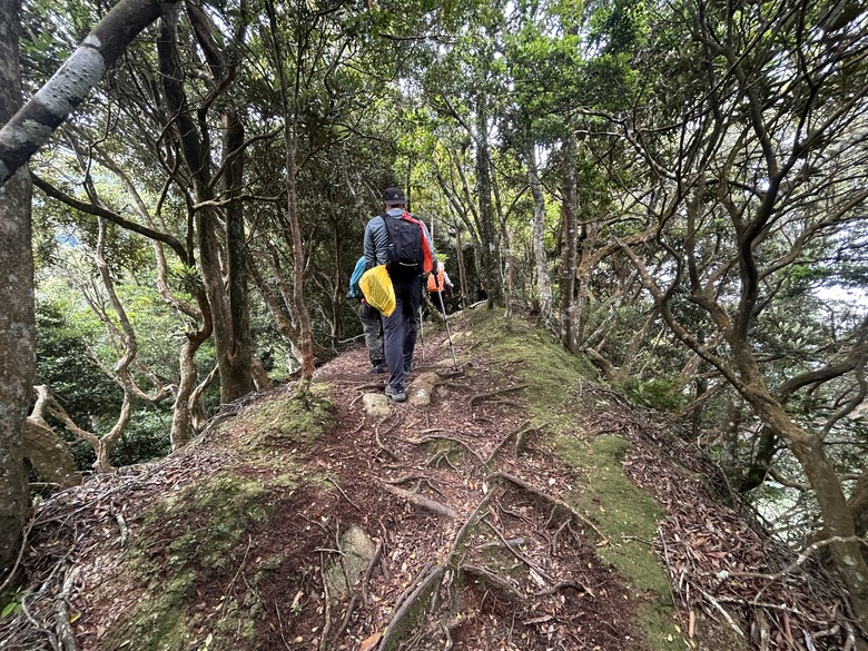 苗 栗 最 高 峰 加 里 山 ( 台 版 富 士 山 )