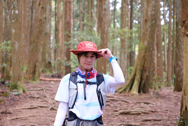 【高島縱走】走進六星級柳杉森林，一日高台山與島田三山