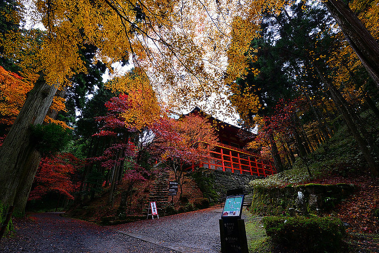 2016 - 秋 - 一個人的旅行 日本關西地區