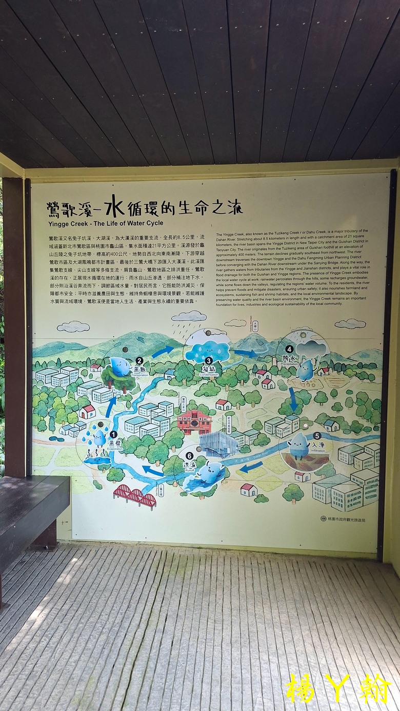 【微笑山線】全新登山步道，大湖之森自然步道，輕鬆健行享受森林浴