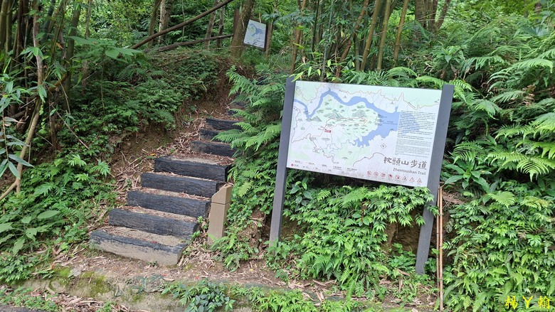 【郊山走走】走上山,近於水:登上戰略要地枕頭山,探尋依山傍水的薑母島