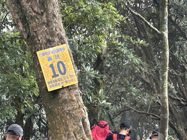 苗 栗 最 高 峰 加 里 山 ( 台 版 富 士 山 )