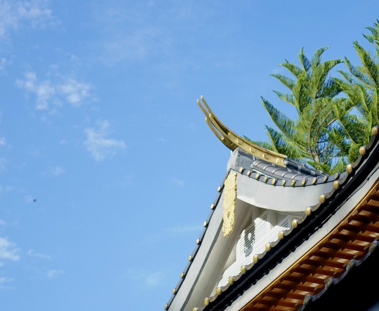 8/1-2旅遊嘉義梅山、竹騎,太興飛瀑步道,乘坐阿里山小火車,隨意gogogo健康徒步快樂行