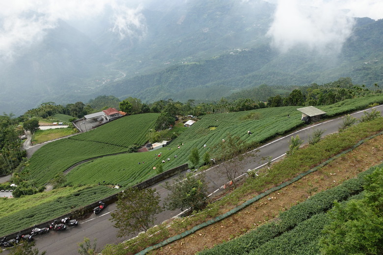 8/1-2旅遊嘉義梅山、竹騎,太興飛瀑步道,乘坐阿里山小火車,隨意gogogo健康徒步快樂行