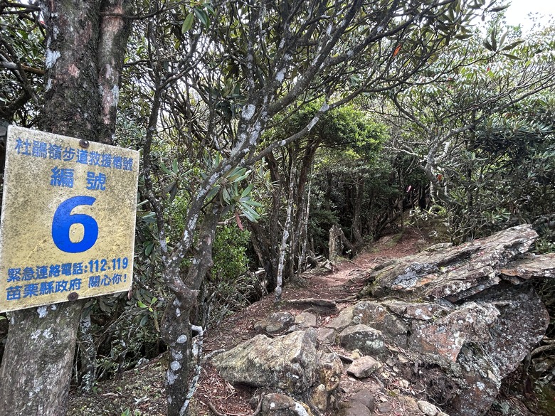 苗 栗 最 高 峰 加 里 山 ( 台 版 富 士 山 )
