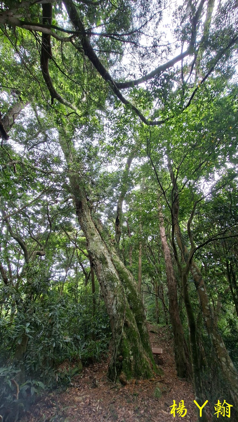 【郊山走走】走上山,近於水:登上戰略要地枕頭山,探尋依山傍水的薑母島