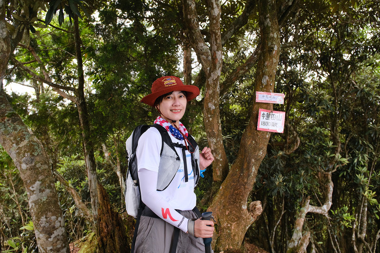 【高島縱走】走進六星級柳杉森林，一日高台山與島田三山