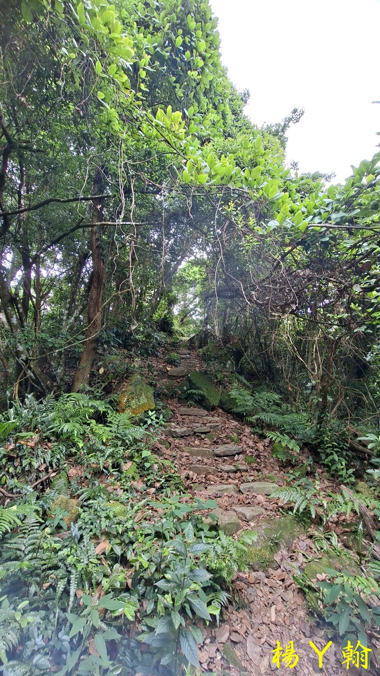 【郊山走走】走上山,近於水:登上戰略要地枕頭山,探尋依山傍水的薑母島