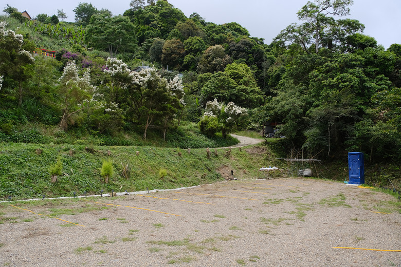 【高島縱走】走進六星級柳杉森林，一日高台山與島田三山
