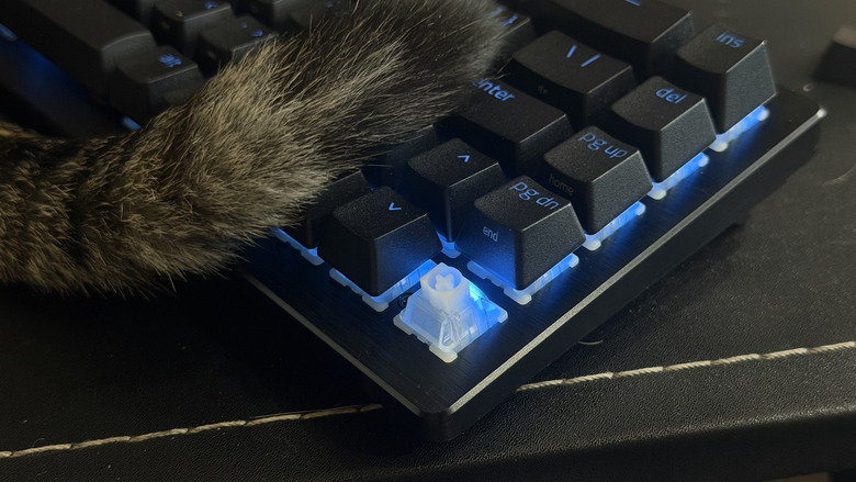 點我看大圖 【開箱|心得】急停再升級?雷蛇全新推出Snap Flex|Razer Huntsman V3 HE 8K