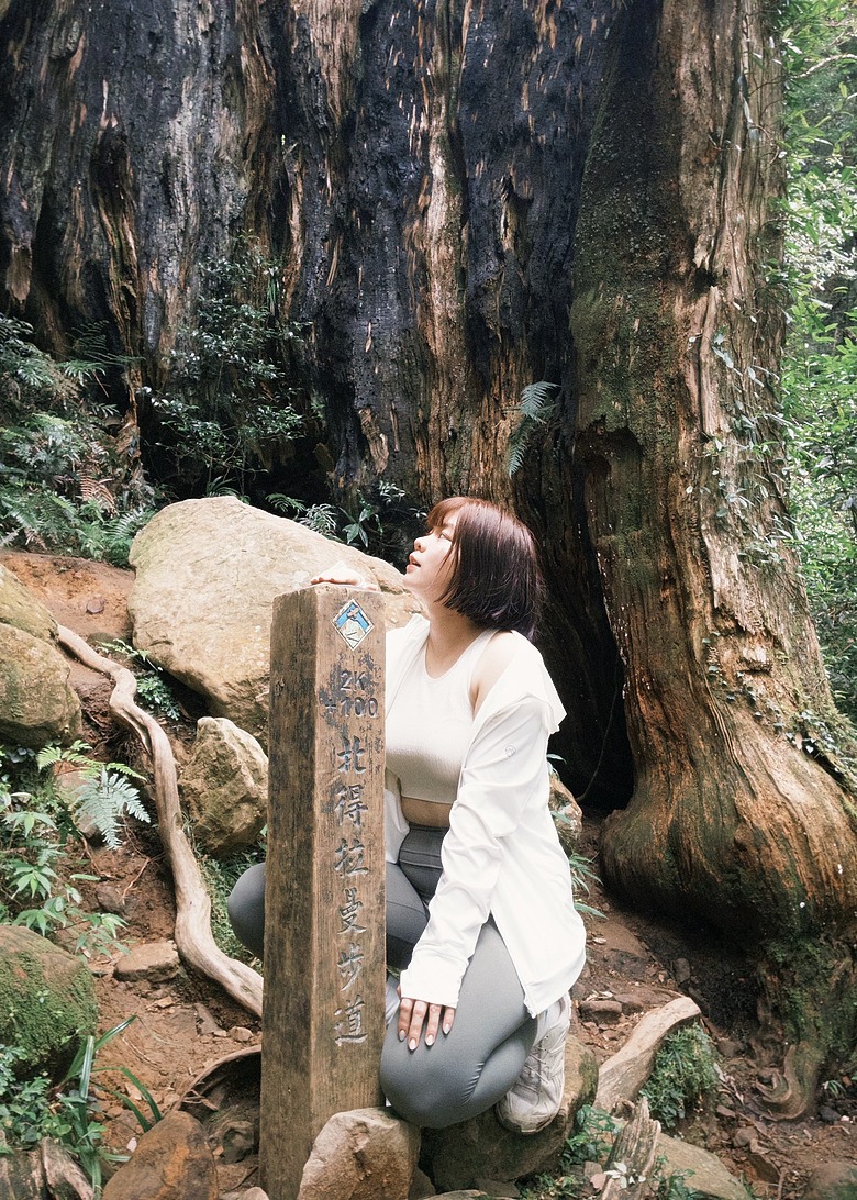 【北得拉曼尋神木】霧裡走進四大天王｜12公里森林健行＋內灣剉冰的夏日小旅行