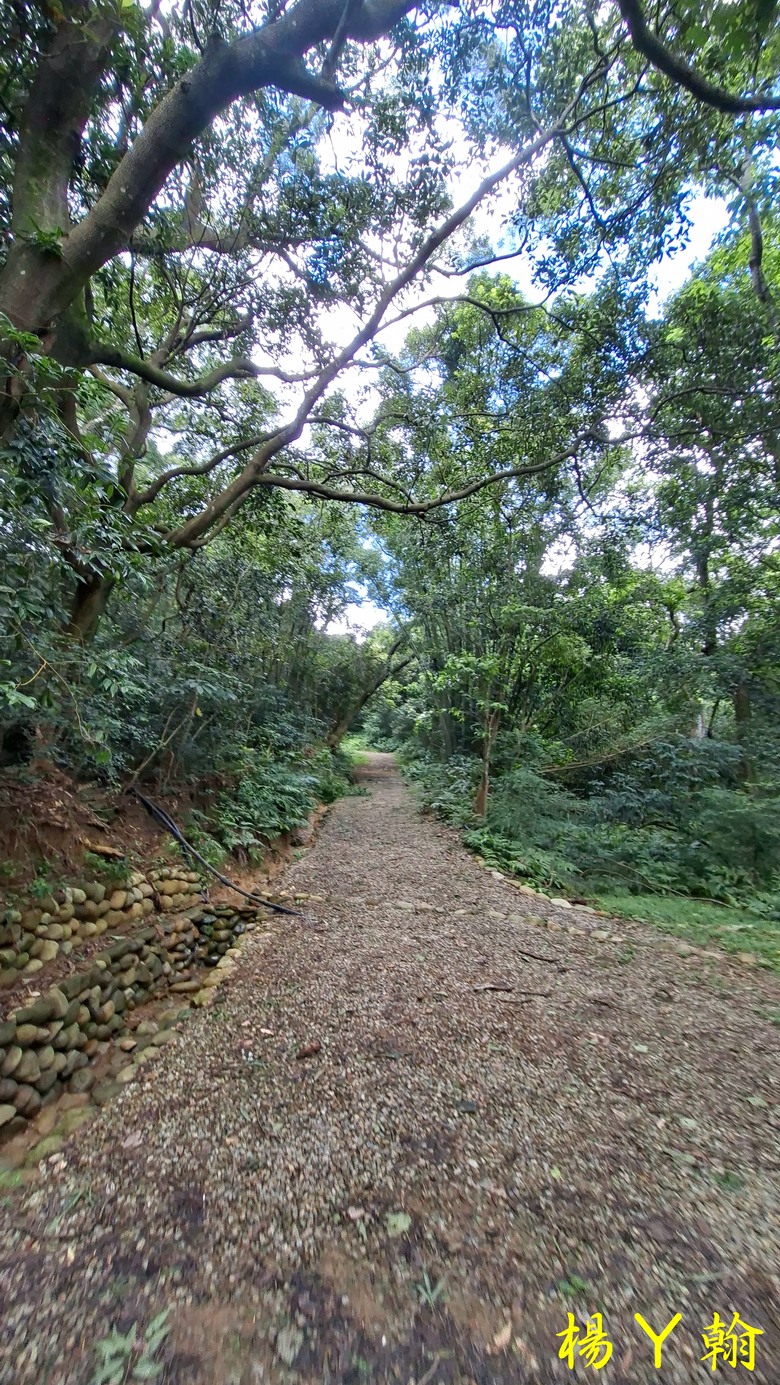 【微笑山線】全新登山步道，大湖之森自然步道，輕鬆健行享受森林浴