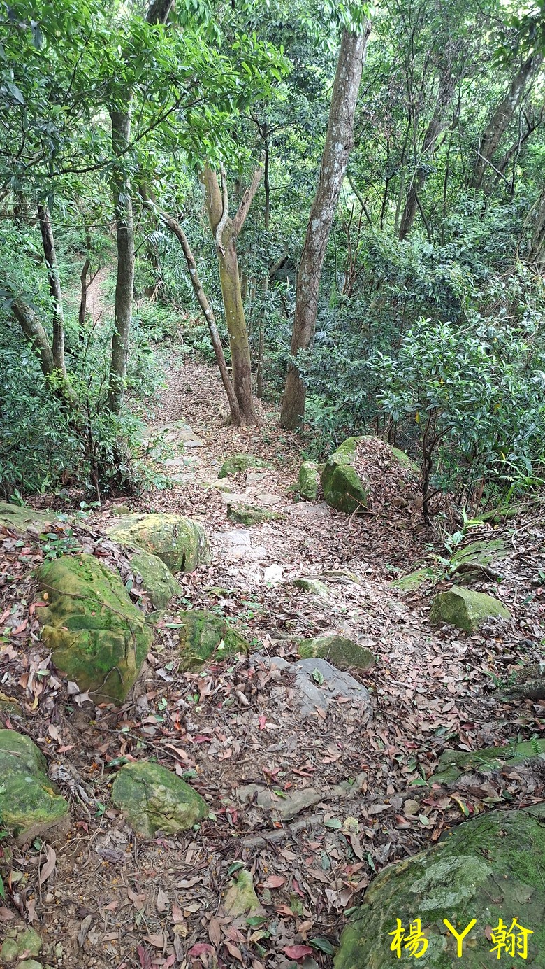 【郊山走走】走上山,近於水:登上戰略要地枕頭山,探尋依山傍水的薑母島