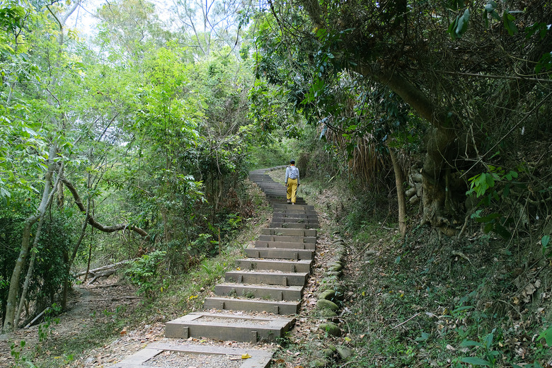 【台南鈺鼎步道.糖子恩山】一覽南化水庫美景，挑戰1470階也值得！