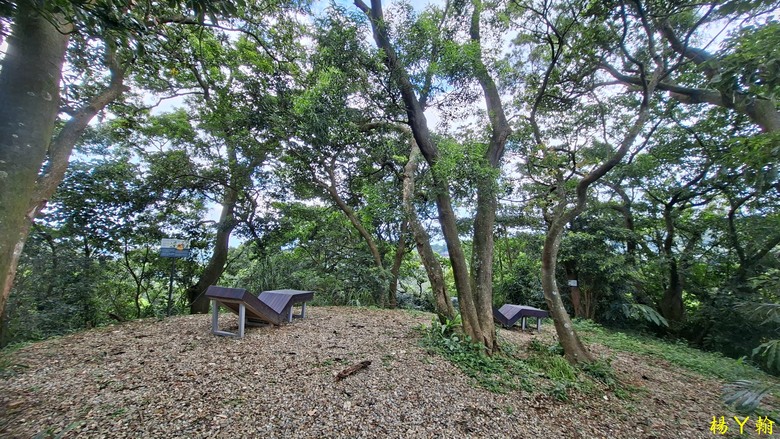 【微笑山線】全新登山步道，大湖之森自然步道，輕鬆健行享受森林浴