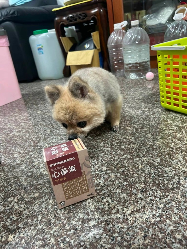 ［分享］毛小孩的保健食品