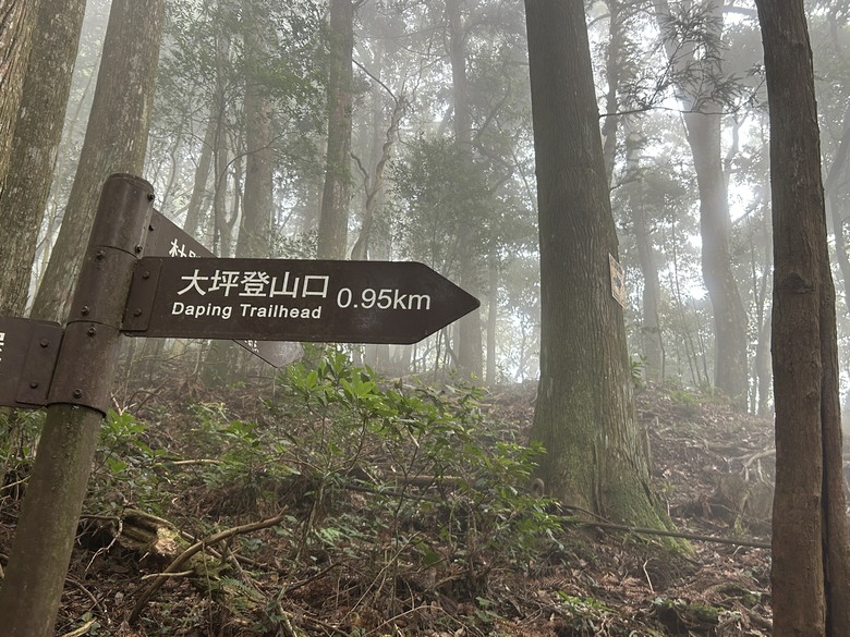苗 栗 最 高 峰 加 里 山 ( 台 版 富 士 山 )