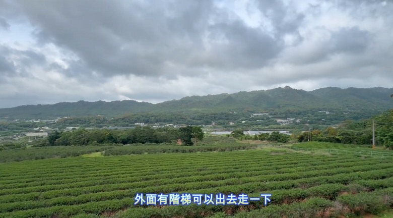 銅鑼半日遊懶人包！走進最 Chill 的綠意茶廠品茗，再爆吃超高 CP 值在地美食！
