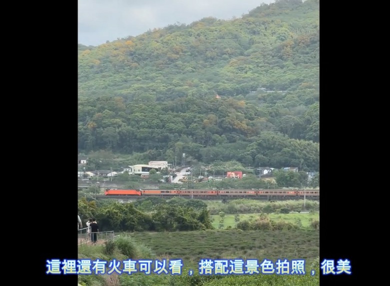 銅鑼半日遊懶人包！走進最 Chill 的綠意茶廠品茗，再爆吃超高 CP 值在地美食！