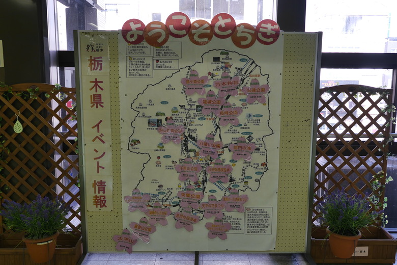 日光就是日本 日光旅遊紀錄
