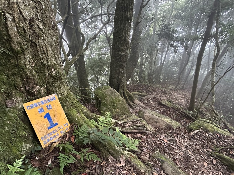 苗 栗 最 高 峰 加 里 山 ( 台 版 富 士 山 )