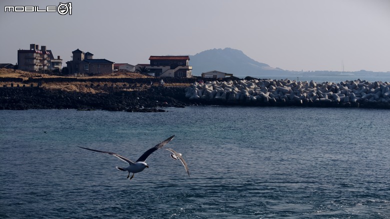 韓國濟州島 | 跳島行程 | 牛島單車環島輕鬆騎