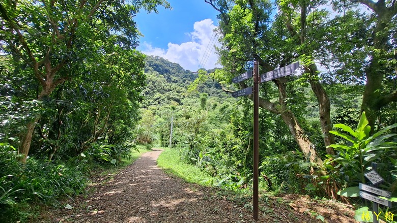 【微笑山線】全新登山步道，大湖之森自然步道，輕鬆健行享受森林浴