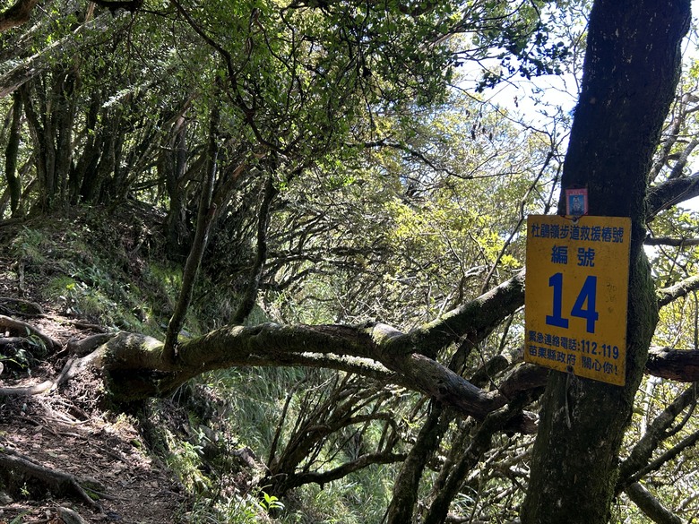 苗 栗 最 高 峰 加 里 山 ( 台 版 富 士 山 )