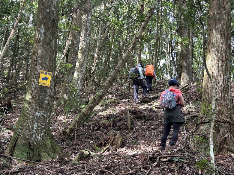 苗 栗 最 高 峰 加 里 山 ( 台 版 富 士 山 )