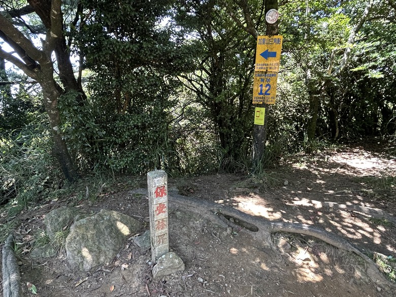 苗 栗 最 高 峰 加 里 山 ( 台 版 富 士 山 )