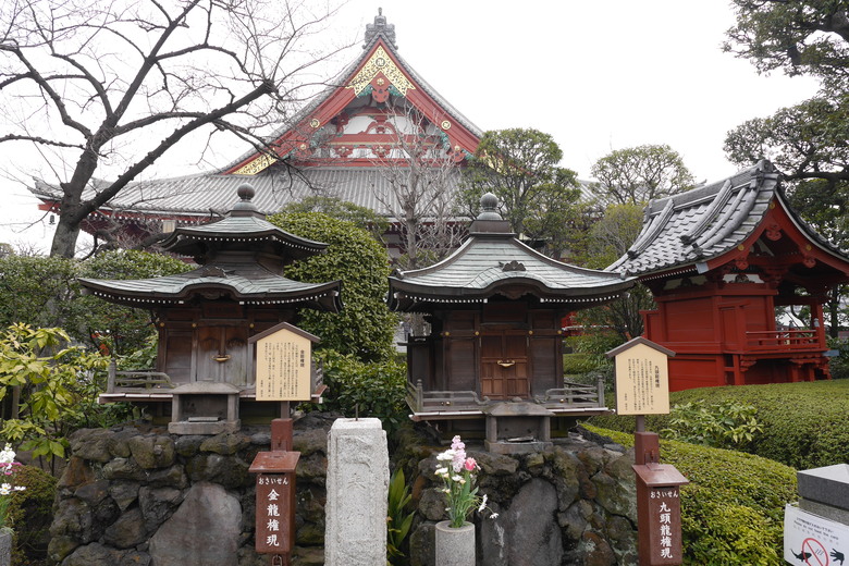 東京的旅遊紀錄 淺草 銀座 東京鐵塔 東京都廳