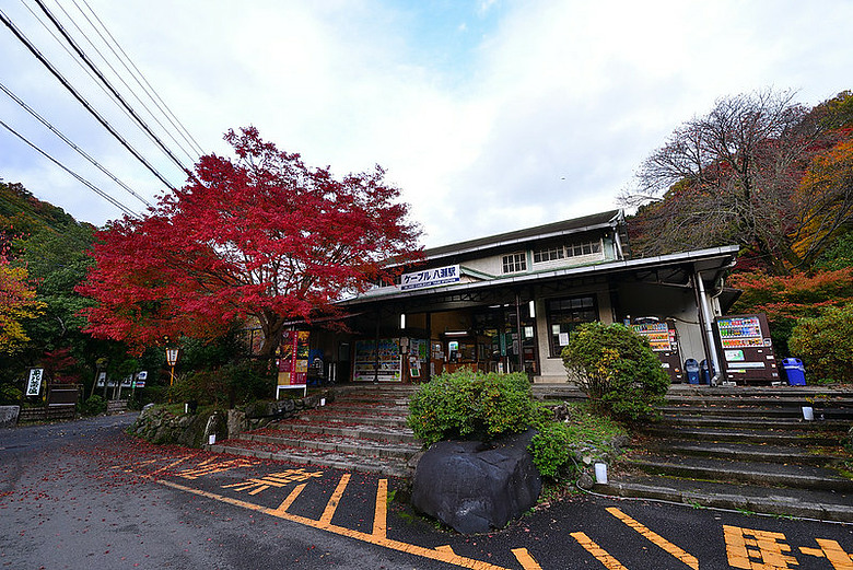 2016 - 秋 - 一個人的旅行 日本關西地區