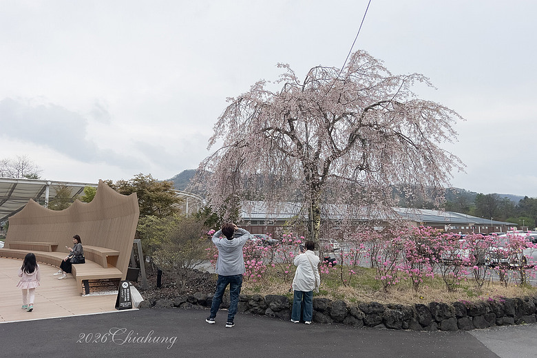 日本長野週年旅行 (圖多)
