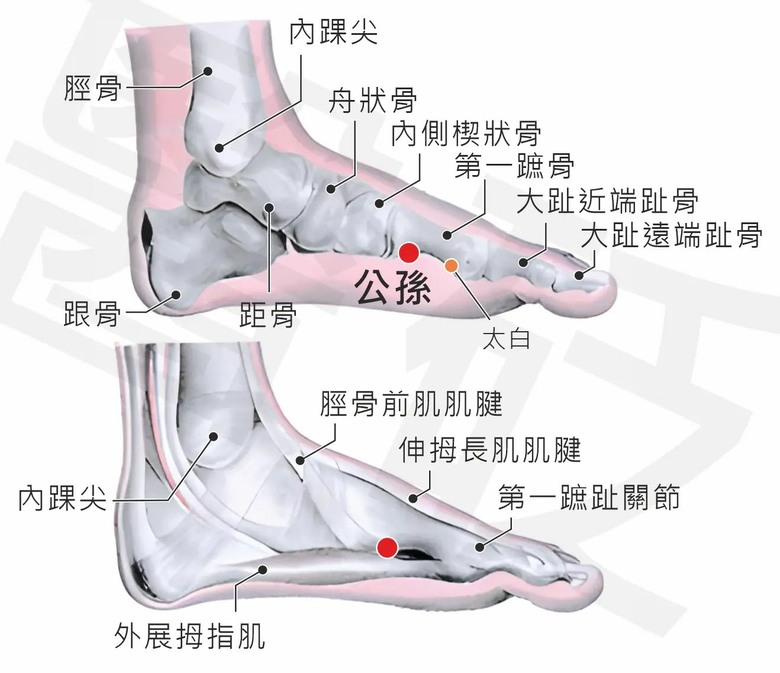 蹲下去站不起來，如果膝蓋不會痛，那就是肝經脾經的問題