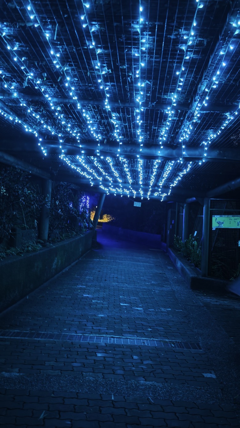 另類的父親節 - 台北市立動物園 "夜之動物園" 遊記分享~