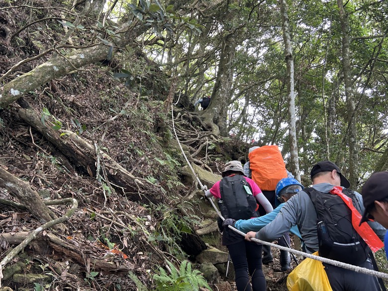 苗 栗 最 高 峰 加 里 山 ( 台 版 富 士 山 )