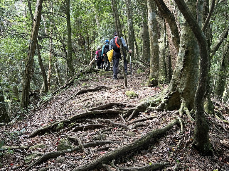 苗 栗 最 高 峰 加 里 山 ( 台 版 富 士 山 )