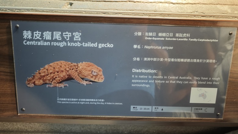 另類的父親節 - 台北市立動物園 "夜之動物園" 遊記分享~