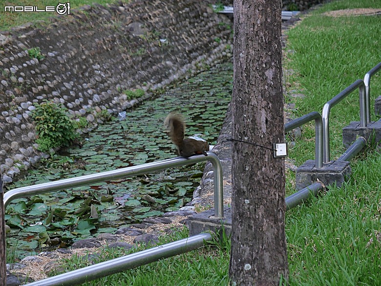 臺中公園、彰化銀行、臺中火車站 — 快閃臺中半天憶童年小旅行