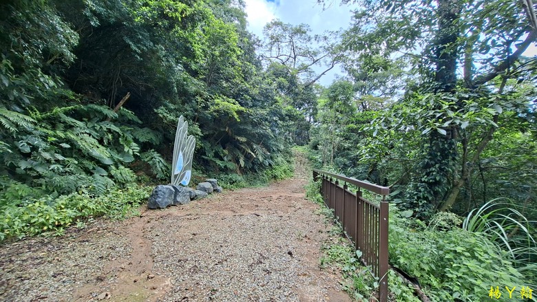 【微笑山線】全新登山步道，大湖之森自然步道，輕鬆健行享受森林浴