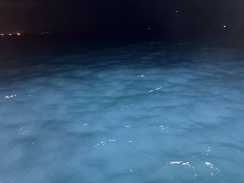 海釣初體驗｜海風、魚竿，還有兩個傻子