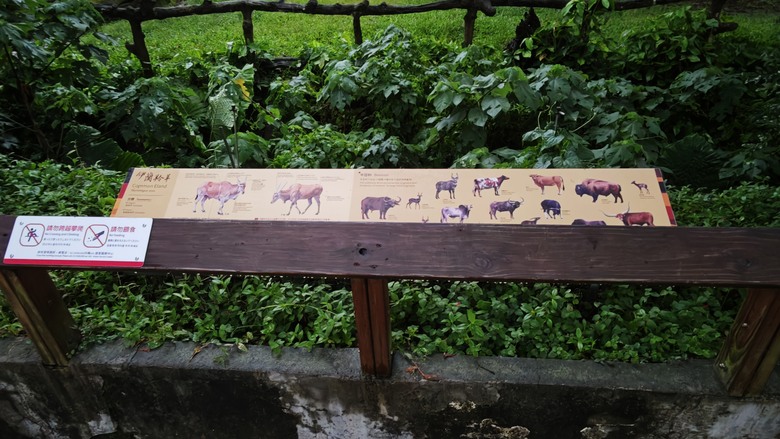 另類的父親節 - 台北市立動物園 "夜之動物園" 遊記分享~