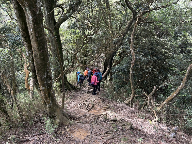 苗 栗 最 高 峰 加 里 山 ( 台 版 富 士 山 )