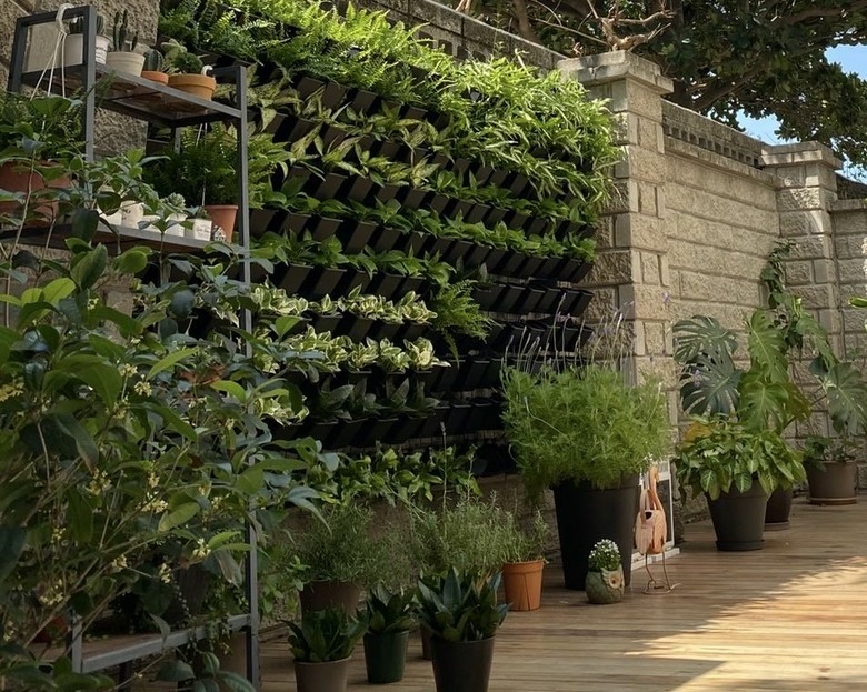沙鹿園藝綠植牆diy掛盆+鐵架有人要嗎？