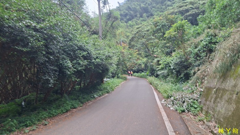 【郊山走走】走上山,近於水:登上戰略要地枕頭山,探尋依山傍水的薑母島