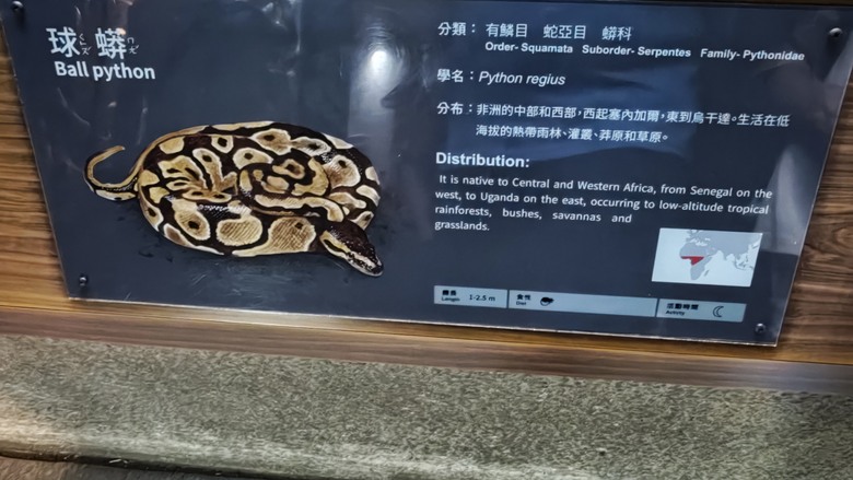 另類的父親節 - 台北市立動物園 "夜之動物園" 遊記分享~